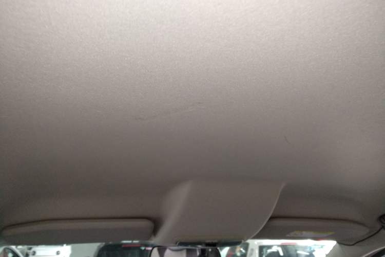 Used Ford EcoSport 2017 1.5L Automatic Trend Model Headliner