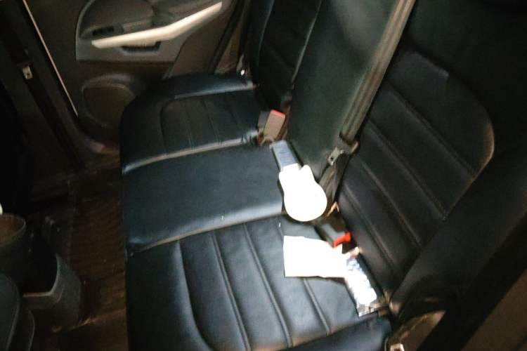 Used Ford EcoSport 2017 1.5L Automatic Trend Model Left Rear Seat