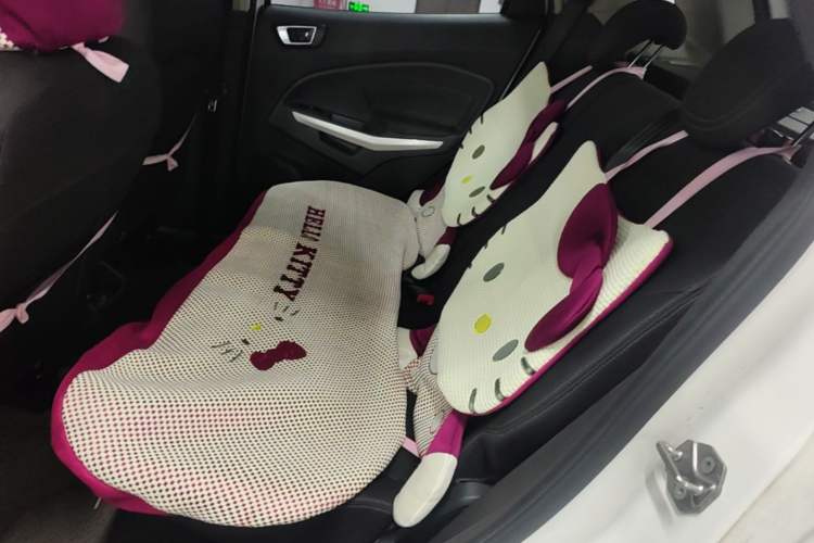 Used Ford EcoSport 2017 1.5L Automatic Prestige Model Left Rear Seat