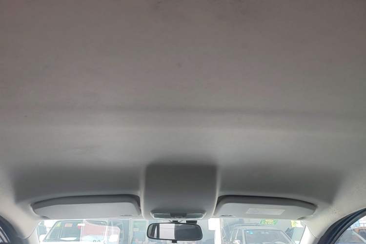 Used Ford EcoSport 2018 1.5L Automatic Platinum Wing Model Headliner