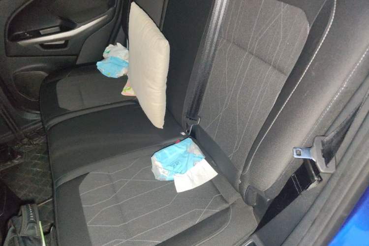 Used Ford EcoSport 2018 Revised 1.5L Automatic Platinum Wing Edition Left Rear Seat