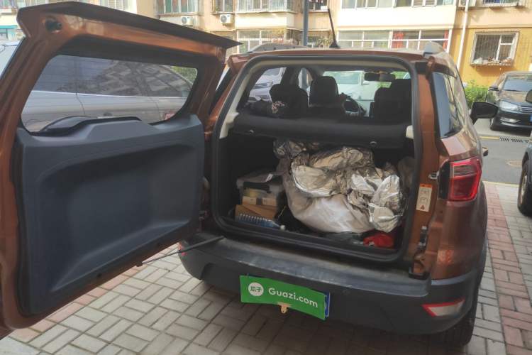Used Ford EcoSport 2018 1.5L Automatic Platinum Wing Model Trunk
