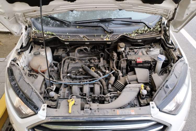 Used Ford EcoSport 2018 1.5L Automatic Zunyi Trim Engine Bay