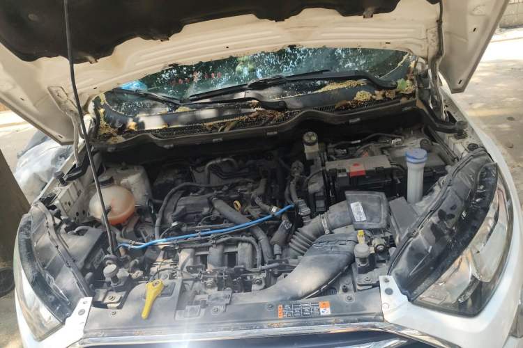 Used Ford EcoSport 2018 1.5L Automatic Zunyi Trim Engine Bay