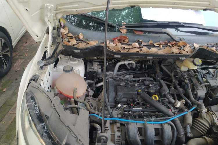 Used Ford EcoSport 2018 Revised 1.5L Automatic Platinum Wing Edition Engine Bay Right