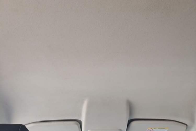 Used Ford EcoSport 2018 1.5L Automatic Platinum Wing Model Headliner