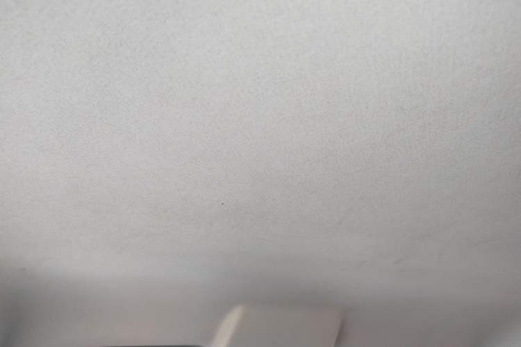 Used Ford EcoSport 2018 1.5L Automatic Platinum Wing Model Headliner