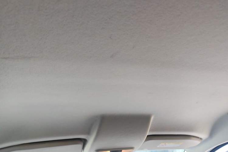 Used Ford EcoSport 2018 1.5L Automatic Platinum Wing Model Headliner