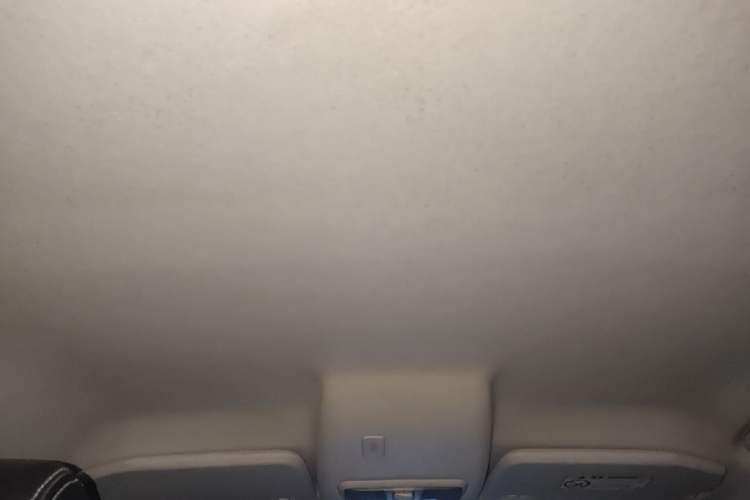 Used Ford EcoSport 2018 1.5L Automatic Elite Edition Headliner