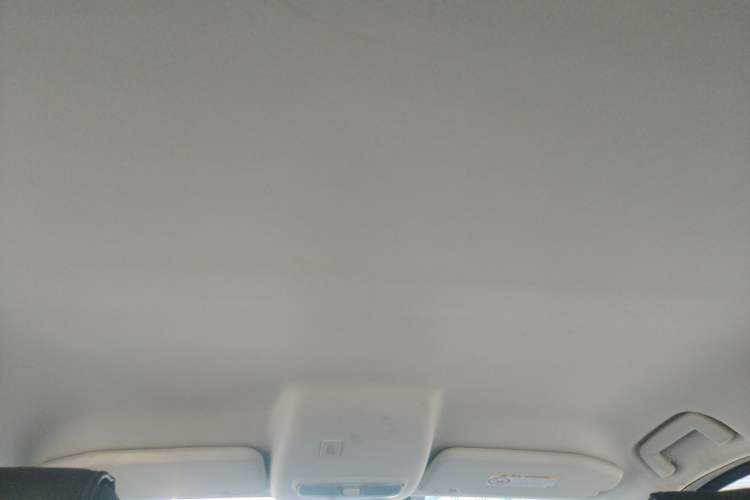 Used Ford EcoSport 2018 1.5L Automatic Elite Edition Headliner