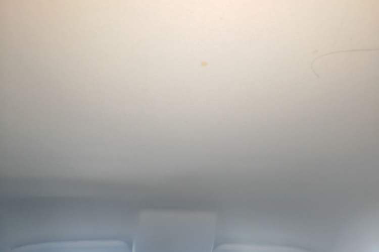 Used Ford EcoSport 2018 1.5L Automatic Platinum Wing Model Headliner