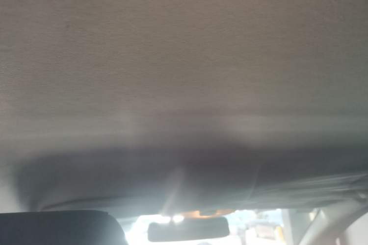 Used Ford EcoSport 2018 1.5L Automatic Elite Edition Headliner