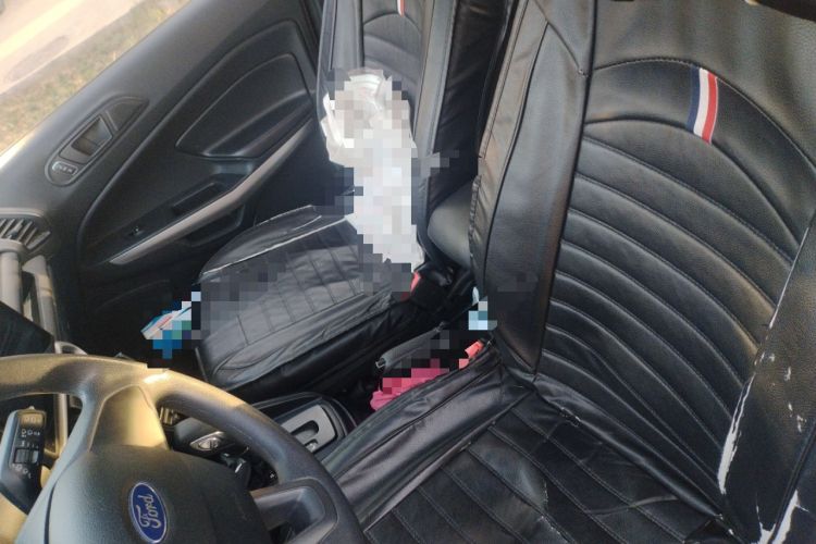 Used Ford EcoSport 2018 1.5L Automatic Elite Edition Left Front Seat