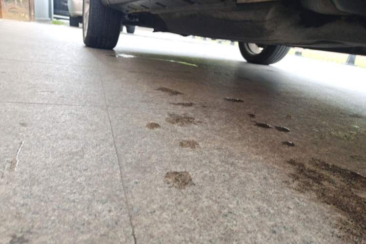 Used Ford EcoSport 2018 EcoBoost 125 Automatic Luxury Edition Left Side Sill