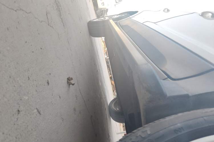 Used Ford EcoSport 2018 1.5L Automatic Platinum Wing Model Right Side Sill