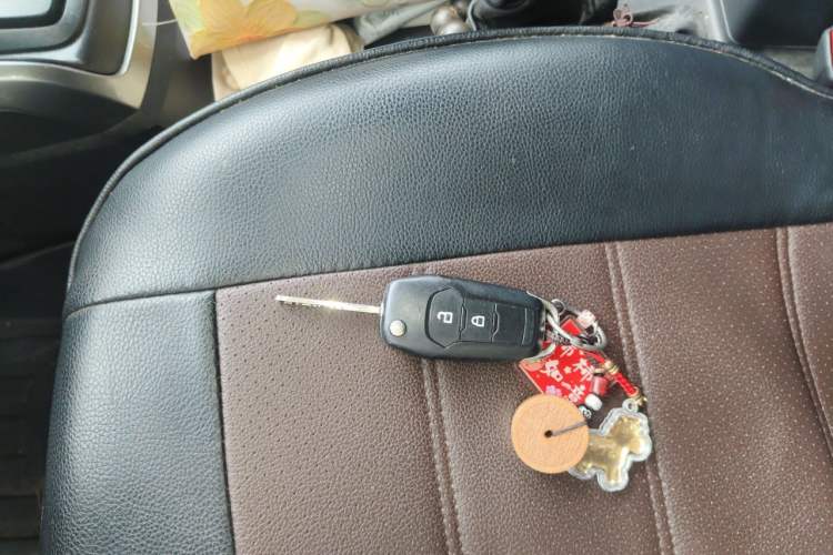 Used Ford EcoSport 2018 Revised 1.5L Automatic Platinum Wing Edition Vehicle Key