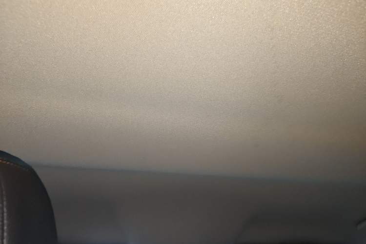 Used Ford Edge 2012 2.0T Elite Edition Headliner