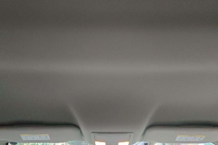 Used Ford Edge 2012 2.0T Elite Edition Headliner
