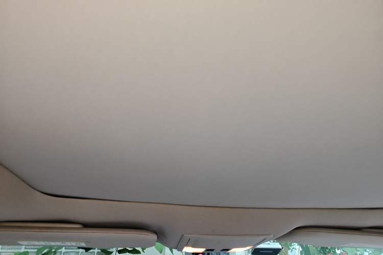 Used Ford Edge  Headliner