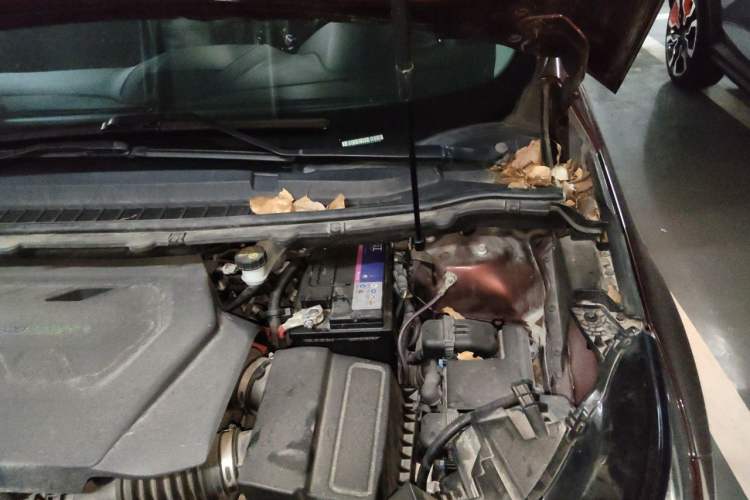 Used Ford Edge 2015 2.7T GTDi 4x4 Sporty 7-Seater Engine Bay Left