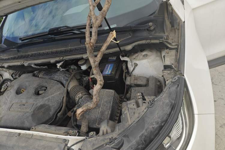 Used Ford Edge 2015 2.0T GTDi Two-Wheel-Drive High-Line Version Engine Bay Left