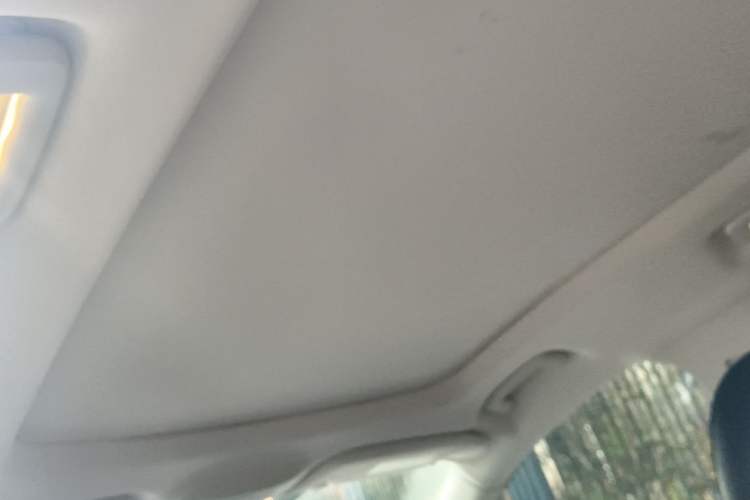 Used Ford Edge 2015 2.0T GTDi Two-Wheel-Drive High-Line Version Headliner