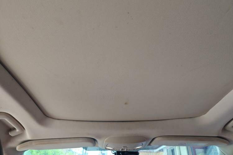 Used Ford Edge 2016 EcoBoost 245 Two-Wheel-Drive Titanium 7-Seater Headliner