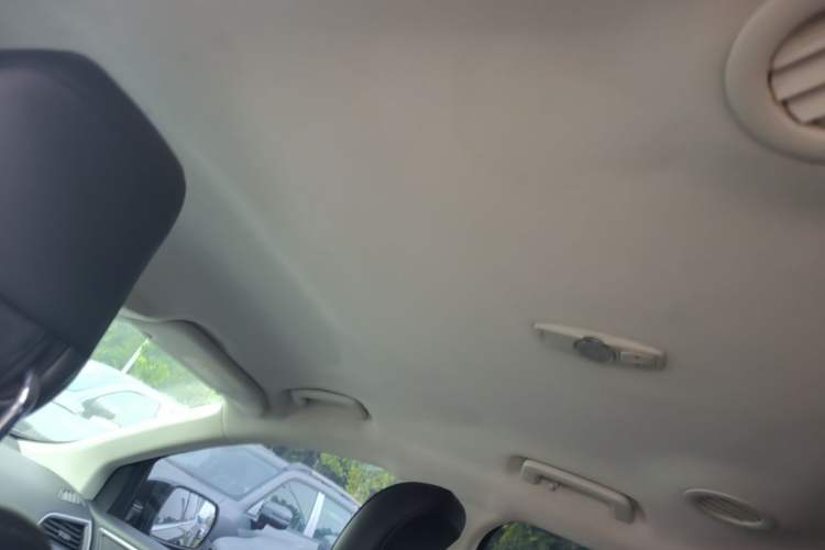 Used Ford Edge 2016 EcoBoost 245 Two-Wheel-Drive Platinum Edition 7-Seater Headliner