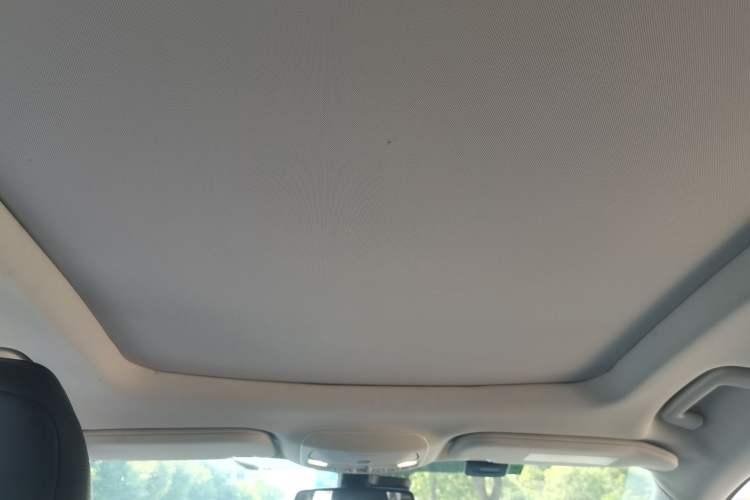 Used Ford Edge 2016 EcoBoost 245 Two-Wheel-Drive Titanium 7-Seater Headliner