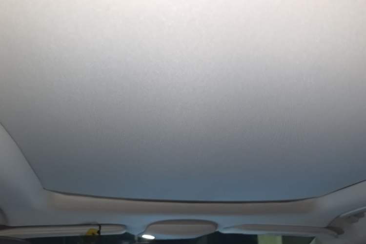 Used Ford Edge 2016 EcoBoost 245 Two-Wheel-Drive Titanium 7-Seater Headliner
