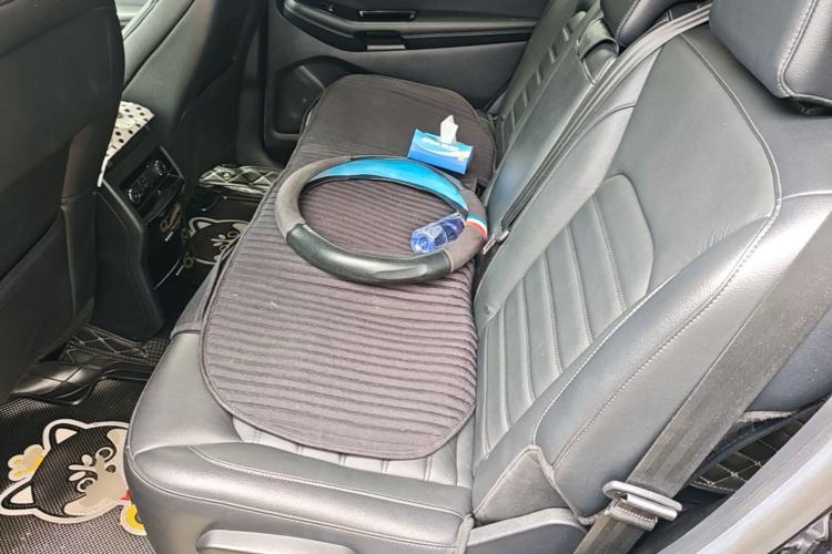 Used Ford Edge 2018 EcoBoost 245 Two-Wheel-Drive Titanium 7-Seater China V Standard Left Rear Seat