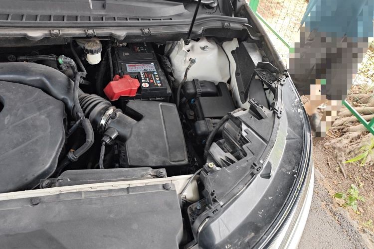 Used Ford Edge 2018 EcoBoost 245 Two-Wheel-Drive Titanium 7-Seater China V Standard Engine Bay Left