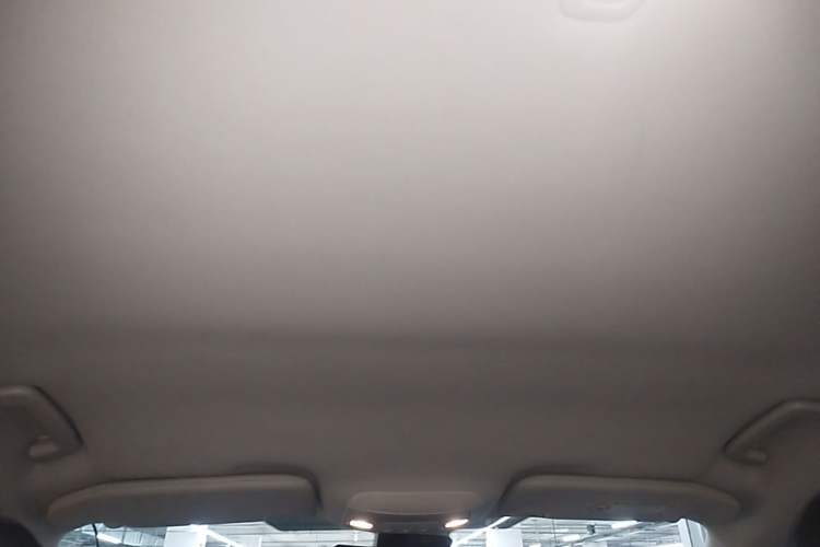 Used Ford Edge 2018 EcoBoost 245 Two-Wheel-Drive Platinum Edition 5 Seats Headliner