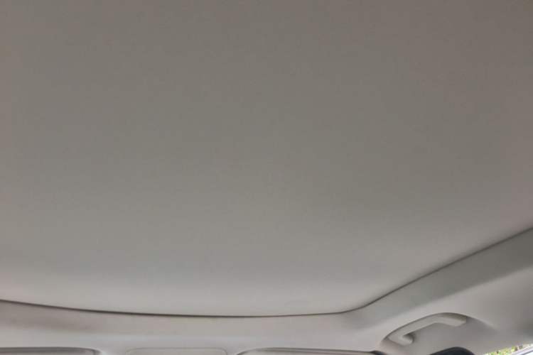 Used Ford Edge 2020 EcoBoost 245 Two-Wheel-Drive Platinum Edition 5 Seats Headliner