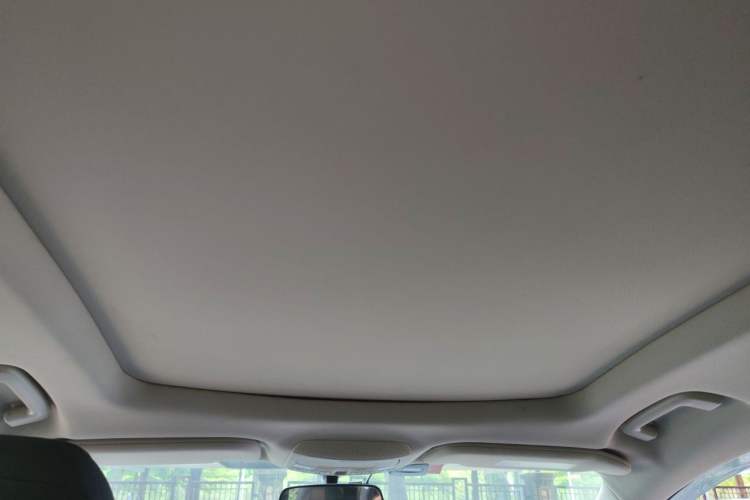 Used Ford Edge 2020 EcoBoost 245 Two-Wheel-Drive Platinum Edition 5 Seats Headliner