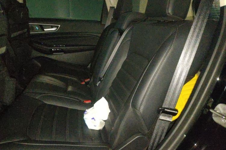 Used Ford Edge 2020 EcoBoost 245 Two-Wheel Drive Titanium 7-Seater Left Rear Seat