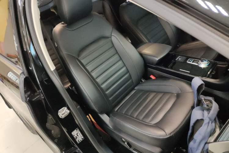 Used Ford Edge 2020 EcoBoost 245 Two-Wheel-Drive Platinum Edition 5 Seats Right Front Seat