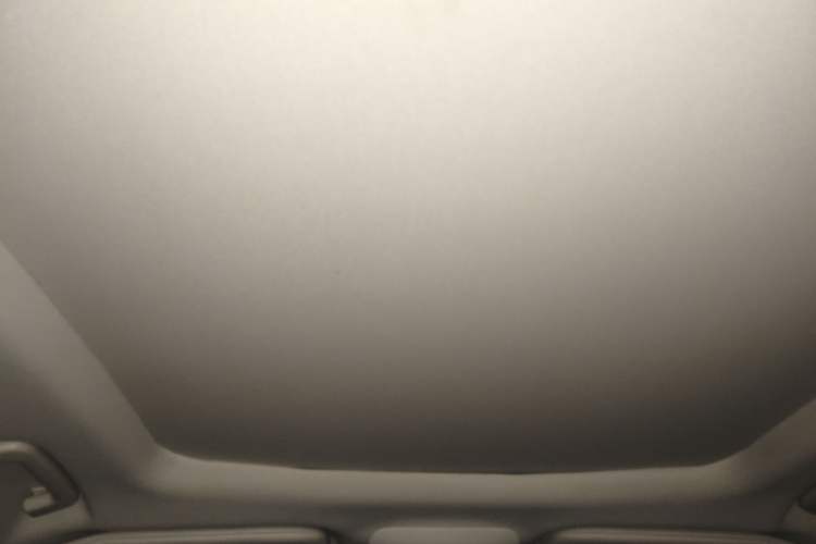 Used Ford Edge 2020 EcoBoost 245 Two-Wheel Drive Titanium 7-Seater Headliner