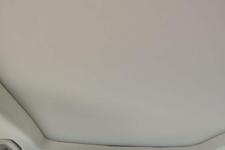 Used Ford Edge 2020 EcoBoost 245 Four-Wheel Drive Titanium Plus 7-Seater Headliner