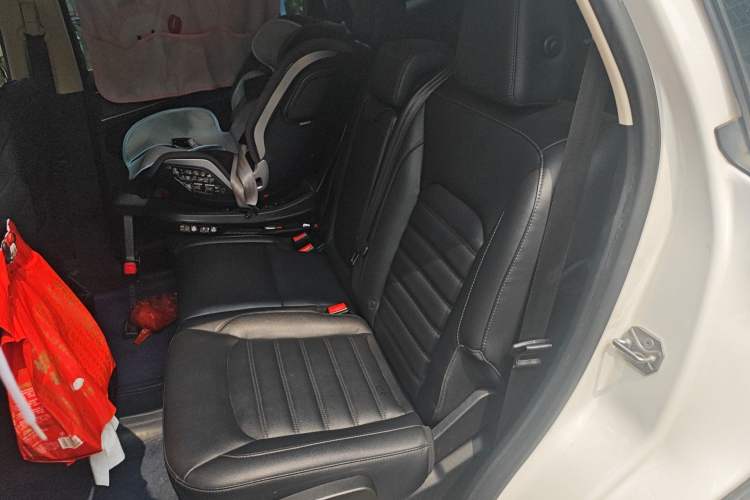 Used Ford Edge 2020 EcoBoost 245 Two-Wheel-Drive Platinum Edition 5 Seats Left Rear Seat