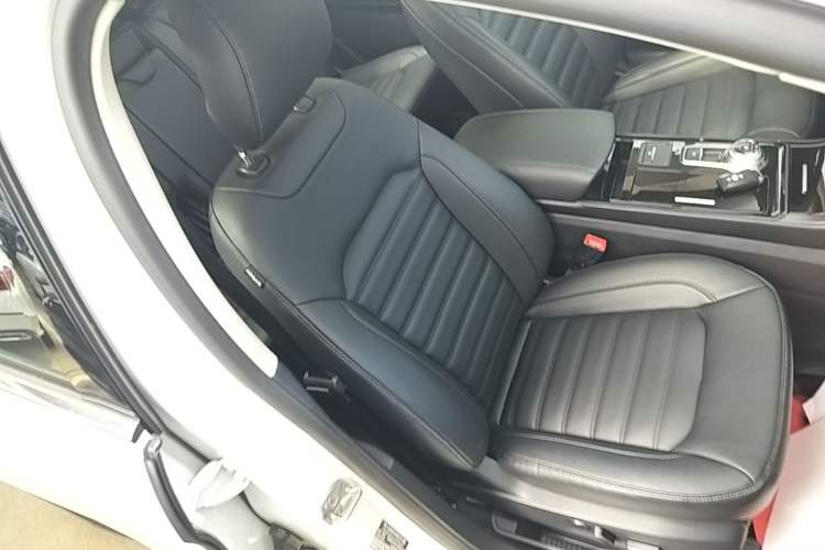 Used Ford Edge 2020 EcoBoost 245 Two-Wheel-Drive Platinum Edition 5 Seats Right Front Seat