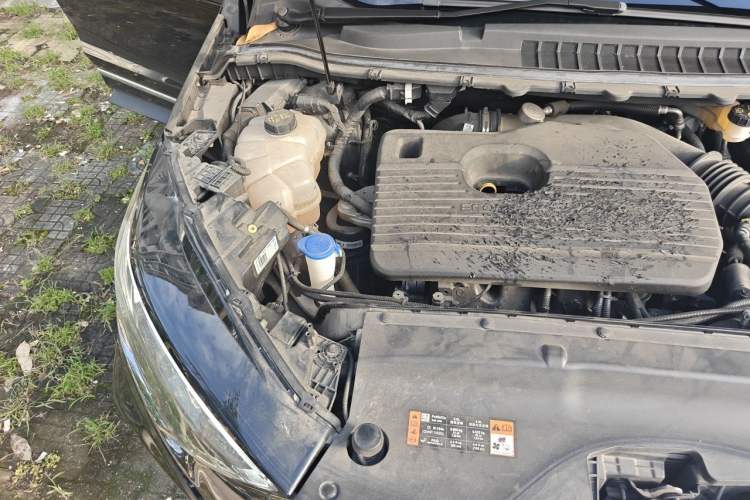 Used Ford Edge 2021 PLUS EcoBoost 245 Two-Wheel-Drive Titanium 7-Seater Engine Bay Right