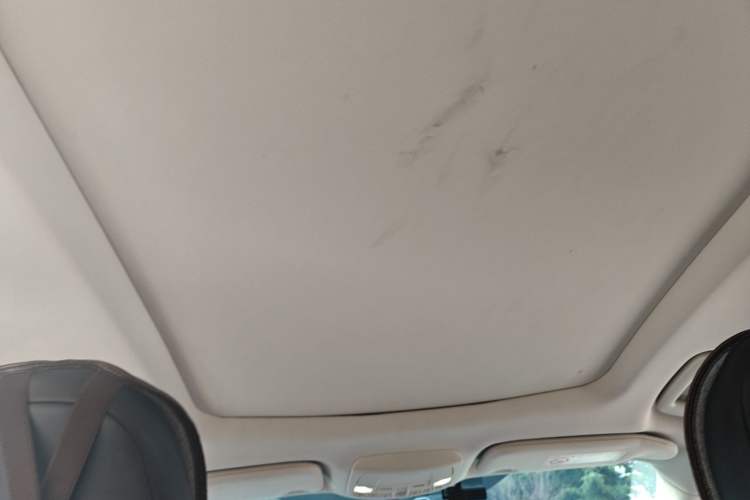 Used Ford Edge 2021 PLUS EcoBoost 245 Two-Wheel-Drive Platinum Edition 5 Seats Headliner