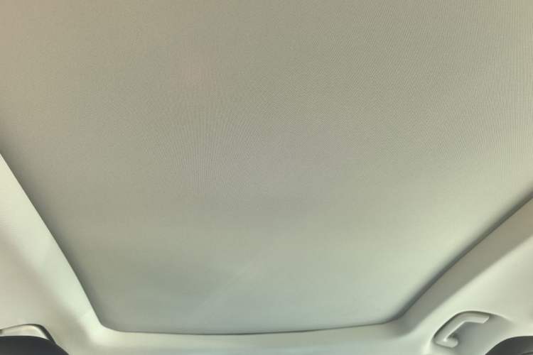 Used Ford Edge 2021 PLUS EcoBoost 245 Two-Wheel-Drive Platinum Edition 5 Seats Headliner