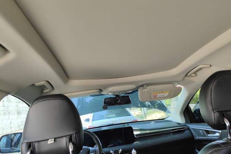 Used Ford Edge 2021 PLUS EcoBoost 245 Two-Wheel-Drive Platinum Edition 5 Seats Headliner
