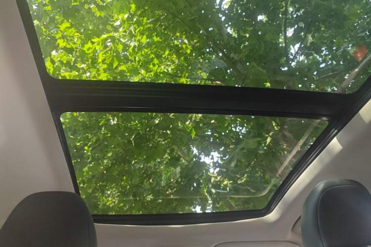 Used Ford Edge 2021 PLUS EcoBoost 245 Two-Wheel-Drive Titanium 7-Seater Headliner