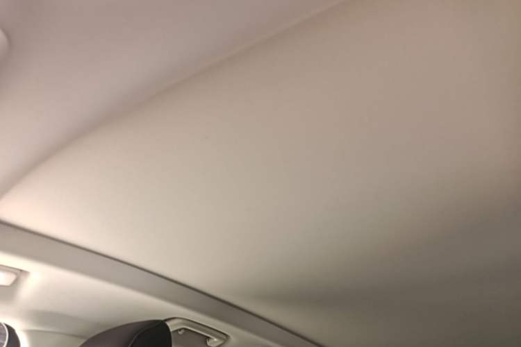 Used Ford Edge 2021 PLUS EcoBoost 245 Two-Wheel-Drive Titanium 7-Seater Headliner
