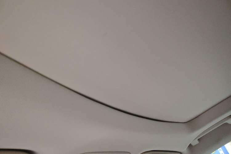 Used Ford Edge 2021 PLUS EcoBoost 245 Two-Wheel-Drive Platinum Edition 5 Seats Headliner