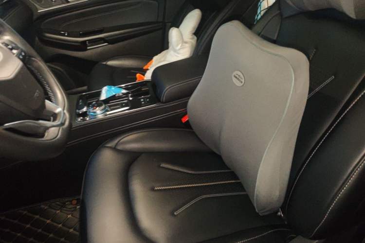 Used Ford Edge 2021 PLUS EcoBoost 245 Two-Wheel-Drive Titanium 7-Seater Left Front Seat
