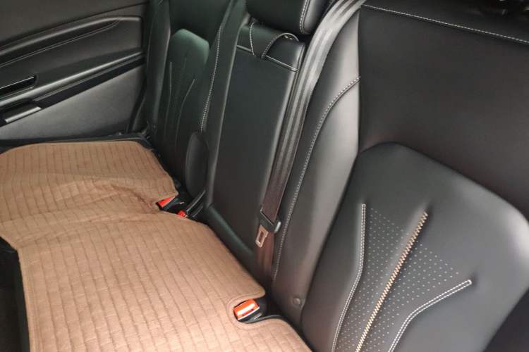 Used Ford Edge 2021 PLUS EcoBoost 245 Two-Wheel-Drive Platinum Edition 5 Seats Left Rear Seat